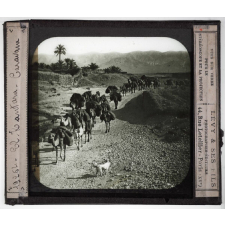 Sahara. El Kantara. Caravane.
