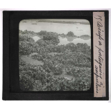 La Moule et l'huître portugaise sur les côtes de l'Aunis. Récifs de portugaises, à Angoulins (Charente-Inférieure). 