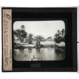 Les Lacs. Piscine dans l'oasis de Gafsa.