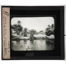 Les Lacs. Piscine dans l'oasis de Gafsa.