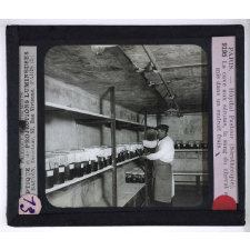 Sérothérapie. Préparation des divers sérums de l'Institut Pasteur de Paris. La cave aux sérums, le sang du cheval est mis dans un endroit frais.