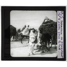 Algérie, Tunisie, Maroc. Caravane se préparant à partir pour le Sud.