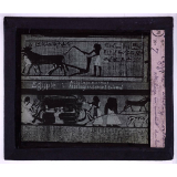 Attelage antique. Egypte. Attelage normal. Attelage en éventail du boeuf. 