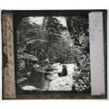 Etats-Unis. Régions centre, Nord et Sud. Gorge et forêt dans les Catskills. Et. de la New York. 