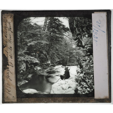 Etats-Unis. Régions centre, Nord et Sud. Gorge et forêt dans les Catskills. Et. de la New York. 