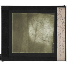La Géologie expérimentale. Première partie. Application de la méthode expérimentale à l'étude des phénomènes d'érosion. Plaque de marbre corrodée par des haricots en germination.