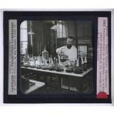 Sérothérapie. Préparation des divers sérums de l'Institut Pasteur de Paris. Ensemencement de la diphtérie: la culture puisée précédemment est ensemencée sur le bouillon nutritif.