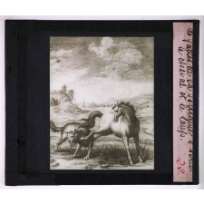 Fables de La Fontaine. 1ere partie. Le cheval et le loup.
