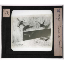 Les Insectes. Entrée de Ruche.