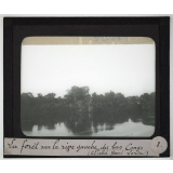 Bas Congo. La forêt sur la rive gauche du bas Congo.