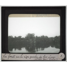 Bas Congo. La forêt sur la rive gauche du bas Congo.