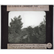 Salonique. Fumée de l'incendie allumé par le bombardement du Zeppelin.