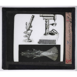 Microscope nature. Microscope composé.