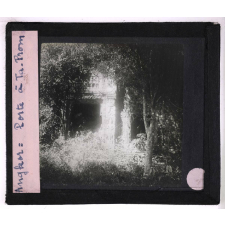 Les Ruines d'Angkor. Porte à Ta-Prom.