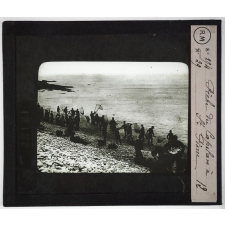 Terre Neuve. Pêche du capelan à St Pierre.