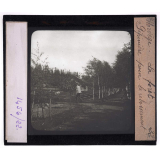 Norvège, la forêt. Pépinière pour le reboisement.