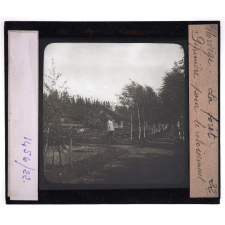 Norvège, la forêt. Pépinière pour le reboisement.