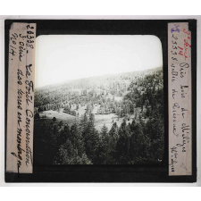 Conservation des terres en montagne et sur les pentes. Action de la forêt sur le sol et sur le régime des eaux, pâturages, prés, bois, correction des torrents. Prés-bois de Mélèzes. Vallée de Crésaux (Hautes-Alpes).