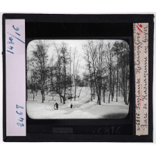 Finlande. Helsingfors. Parc de Kasianemie en hiver.