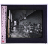 L'Art au petit Palais. Coll. Dutuit. Intérieur de la Collection Dutuit.