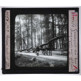 Le Bois et les produits de la forêt, industries forestières. Transport des bois, chargement sur voiture. Forêt de Bercé.