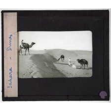 Sahara. Dunes.