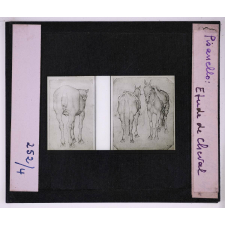 Le Dessin au Musée du Louvre. Pisanello. Étude de Cheval.