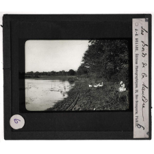 Orléanais sud du bassin de Paris. Les Bois de la Sauldre.