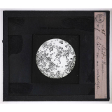 Lait, beurre et fromage. Le lait vu au microscope.