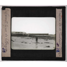 Les Différents types de littoraux. Presqu'île de Quiberon : Plage.