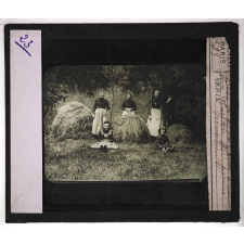 Les Engrais potassiques. Essai sur prairies permanentes.