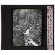Eaux de ruissellement. Le Saut des Cuves.