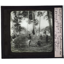Nouvelle Guinée. Iles Salomé. Indigènes pêcheurs fabriquant des pièges à poisson.