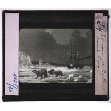 Pôle Nord. Le navire la Panthère chassant l'ours.