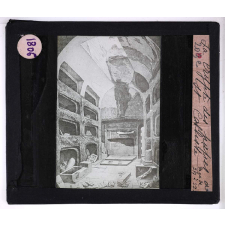 Les Catacombes de Rome. La crypte des papes à St Calliste.