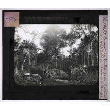 Produits des forêts. Coupe de taillis sous futaie en exploitation - meule à charbon. Nièvre.