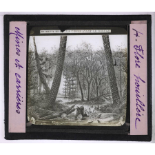 Mines et carrières. Flore houillère.