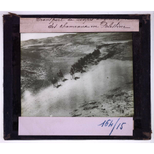 L'Effort anglais. Transport de troupes anglaises par des chameaux en Palestine.