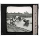 Angleterre : Sol, agriculture, pêche. Les bords de la Tamise.