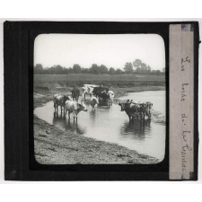 Angleterre : Sol, agriculture, pêche. Les bords de la Tamise.