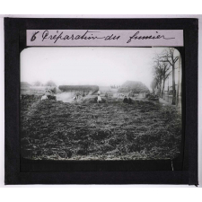 Le Champignon de couche (Psalliota campestris Fr.). Description, procédés de culture et vente. Préparation du fumier.