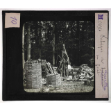 Produits des forêts. Fabrique de douelles en forêt.
