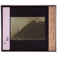 La Bataille des hauts plateaux de l'Adige à la Brenta (mai - juillet 1916). Le mont Cogni Zugna.