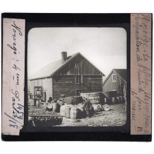 Norvège, la pêche. Usine pour la préparation d'huile de foie de morue.