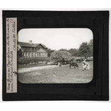 Normandie, Pays de Caux et d'Auge. Une ferme au Pays de Caux. Les bâtiments; la mare; le bétail, la volaille.