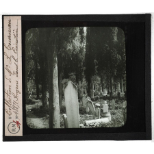 Asie mineure. Smyrne dans le cimetière.