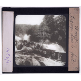 Norvège, la forêt. Paysage dans la forêt.
