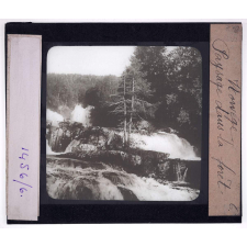 Norvège, la forêt. Paysage dans la forêt.