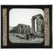 Egypte. Thèbes. Salle des colonnes au temple de Memnon.