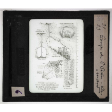 Eau d'infiltration érosions. Coupe de l'Aven Armand.